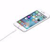 Picture of Apple USB-A to Lightning Cable 0.5M - White