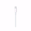Picture of Apple  Cable 1M - White USB-C to Lightning1
