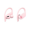 Picture of Beats Powerbeats Pro Wireless Earphones - Cloud Pink