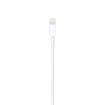 Picture of Apple USB to Lightning Cable 1M - White