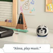 Picture of Amazon Echo Dot 4 Kids - Panda