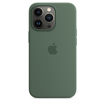Picture of Apple iPhone 13 Pro Max Silicone Case with MagSafe - Eucalyptus