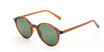 Picture of looklight Ashton N Type Unisex Sunglass 51mm - Jelly Brown